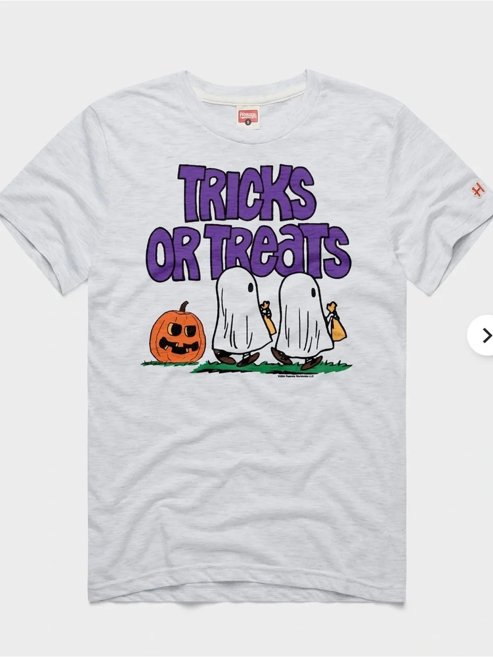 Peanuts tricks or treats shirt - Picture 1 of 5